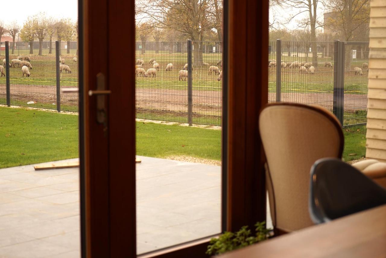 Stille, Aussicht Und Kunst Am Archaeologischen Park 克桑滕 外观 照片